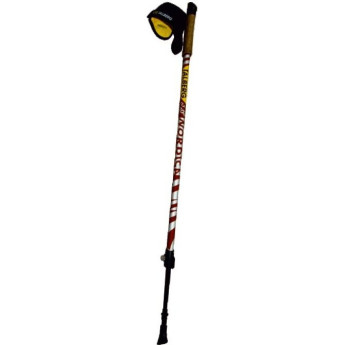 Палки для скандинавской ходьбы TALBERG NORDICA 1 пара, синий